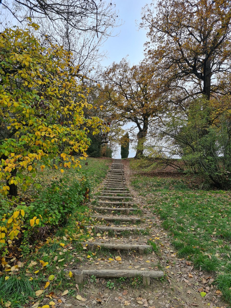 Alumni New Year Contest | 5ᵃ classificata (a pari merito)