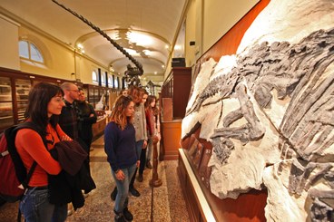 Ragazza davanti ad una teca di minerali al museo