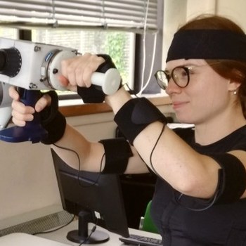 Avallone con strumento